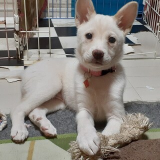 「センター」女の子