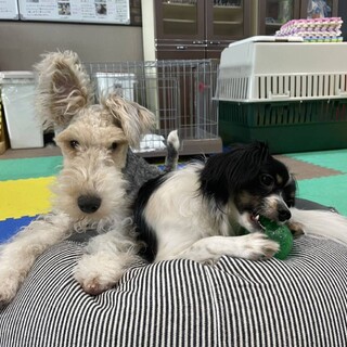 スーパーアクティブコウタロウ君です！