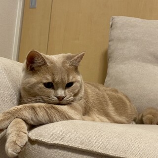 とても人懐っこいです。