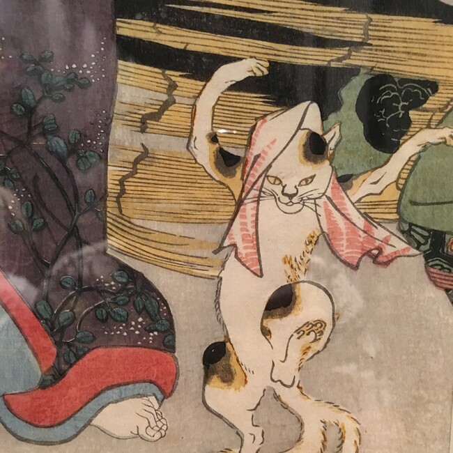 エコにゃんのカバー写真