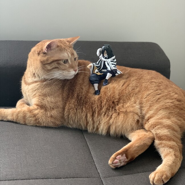 さらりんごのカバー写真