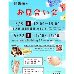 保護猫のお見合い会&お楽しみ猫雑貨店