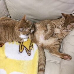 「大きくなった」サムネイル2