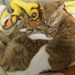 「大きくなった」サムネイル3