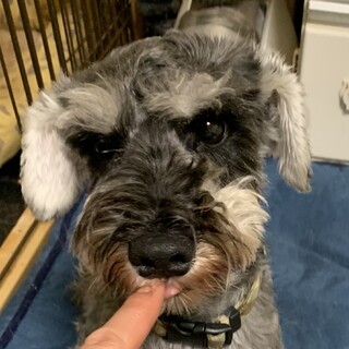 人の事が大好きで甘えたな男の子♪