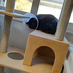 【保護9日目】ウォールシーナ突破されましたぁ！