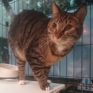 ◆3/20◆スタイル抜群シャイボーイ♪風ふぅくん