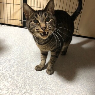 ベタベタの甘えん坊♡じゆうくん