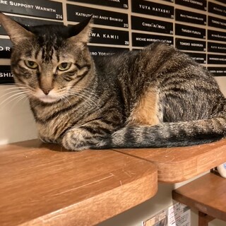 ちょっと怖がりさんの男の子♪