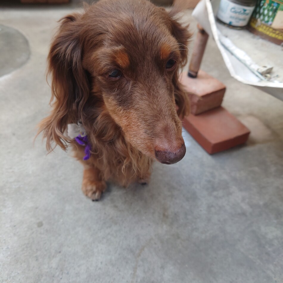 よしろうのカバー写真