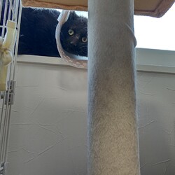 【保護10日目】どこで食べるか？