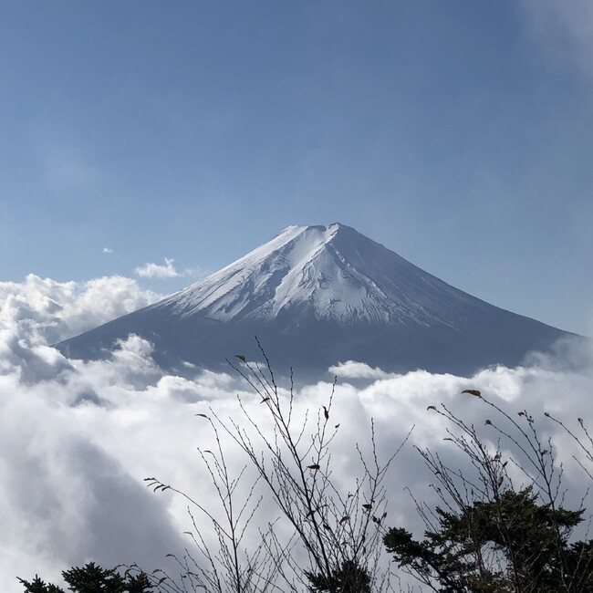 ちょこあんこのカバー写真