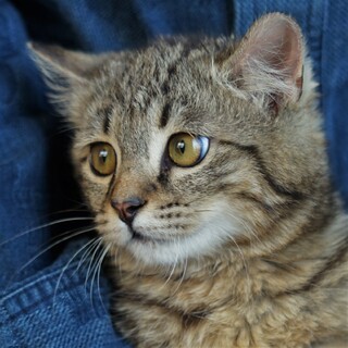 ふわもこ☆たれ目☆男の子(^^♪