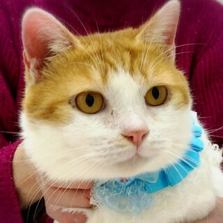 お休みになりました→♡フナンギョⅡくん