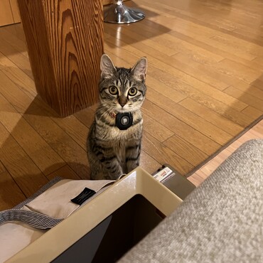 あの〜そろそろ遊んでもらいたいですけど、のときの顔