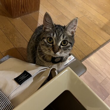 もしもーし、遊んでくれますか？のときの顔