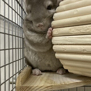 募集取り下げさせて頂きました