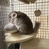 募集取り下げさせて頂きました サムネイル4