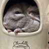 募集取り下げさせて頂きました サムネイル2