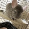 募集取り下げさせて頂きました サムネイル6