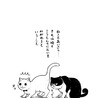 いっちゃんソルティー