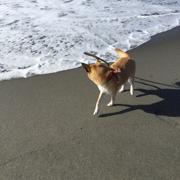 の写真