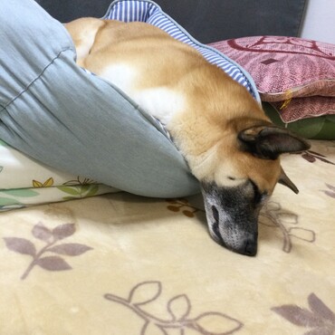 の写真