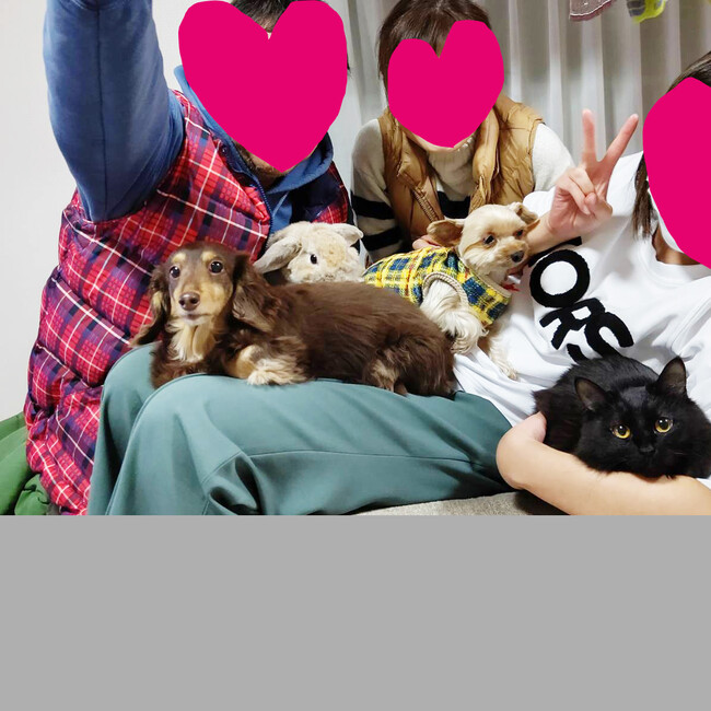 mayu52のカバー写真