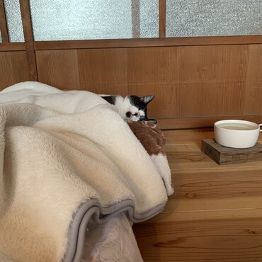 皆見てないと思いつつ地味に更新してます★