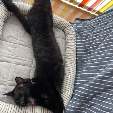 まめの写真