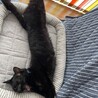 の写真