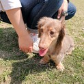 お家で一緒に暮らせることになりました♡