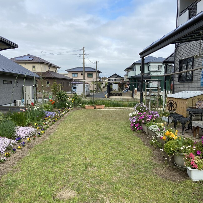 ハルみくりのカバー写真