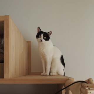 静かに甘える控えめな男の子