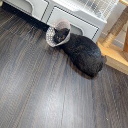 【保護11日目】不安