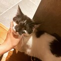 人懐っこい1歳の女の子です