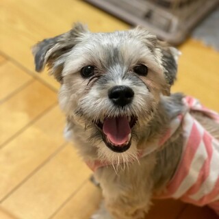 ロペ　変化を共に分かち合える家族求む