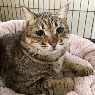 【5/15東銀座】こまったくん2歳♪