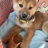 ちゃこ