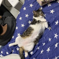 まる