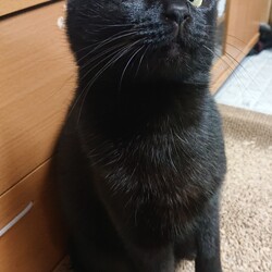 「ご無沙汰が過ぎてます<(_ _*)>」サムネイル2