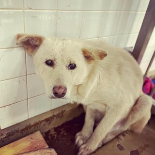 27日朝までがセンター期限です