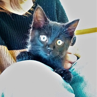 元気なおこげちゃん❣