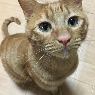 7歳のおっとりした子です！