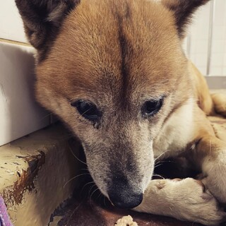 収容期限27朝迄です