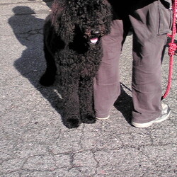 初めての散髪は失敗しました