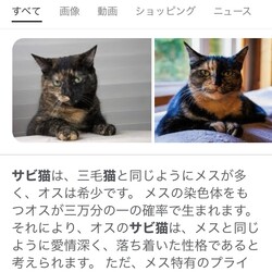 「22.04.22 迷宮入り」サムネイル2