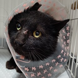 【保護14日目】マイナス1,000ポイント！！