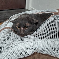 「【保護14日目】マイナス1,000ポイント！！」サムネイル2