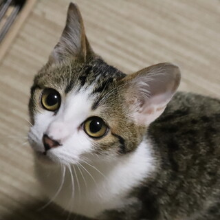 トライアル決定☆知らない人も大丈夫◎な男の子！